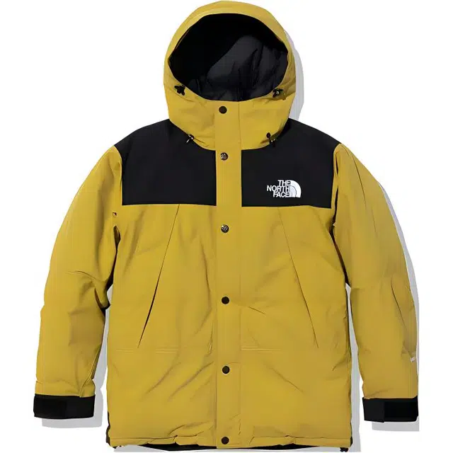 THE NORTH FACE Logo