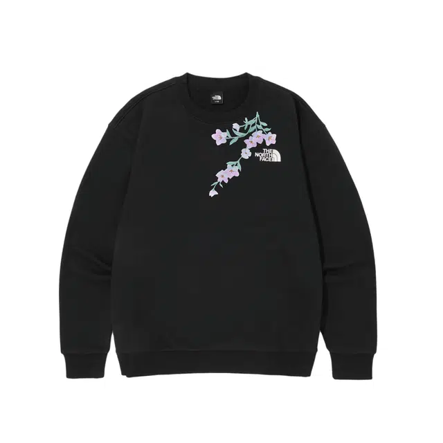 THE NORTH FACE