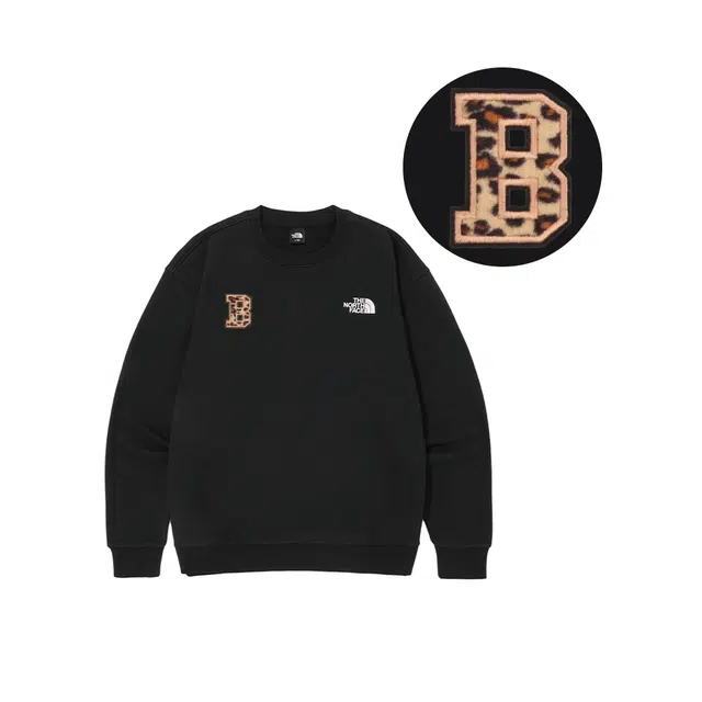 THE NORTH FACE
