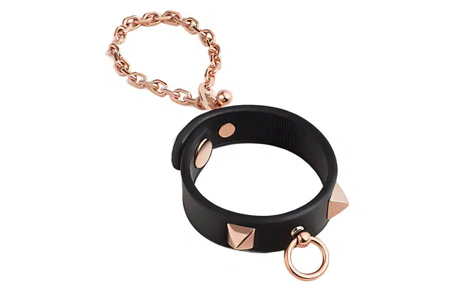 HERMES Rivale