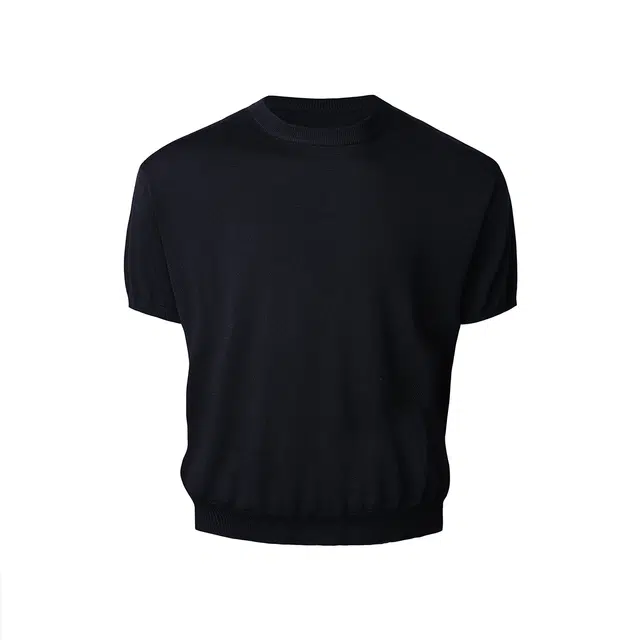 CDISHOU T
