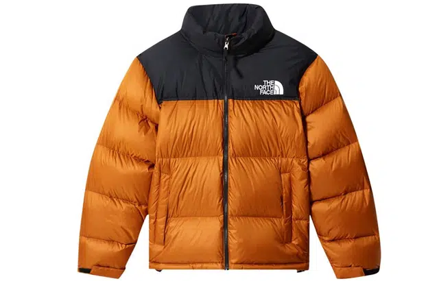 THE NORTH FACE 1996 700