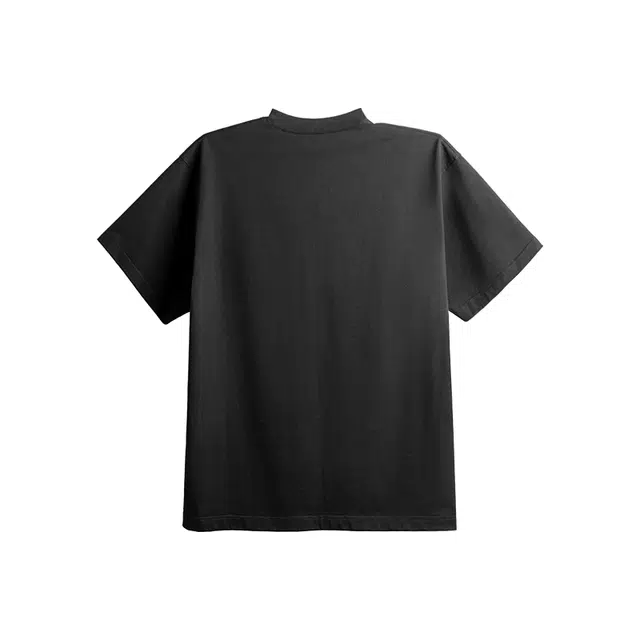 DBW DOUBLEWIN T