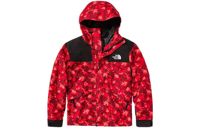 THE NORTH FACE ICON 1986 Logo