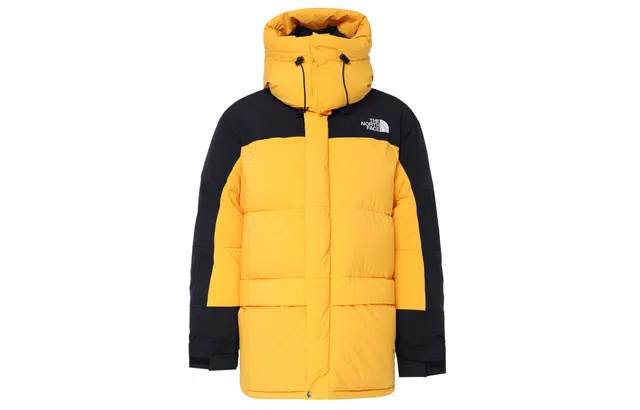 THE NORTH FACE FW22 1994