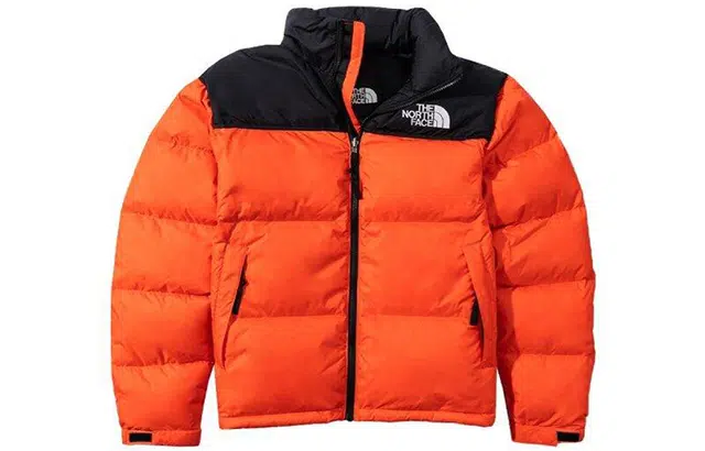 THE NORTH FACE 1996 Nuptse ICON 700