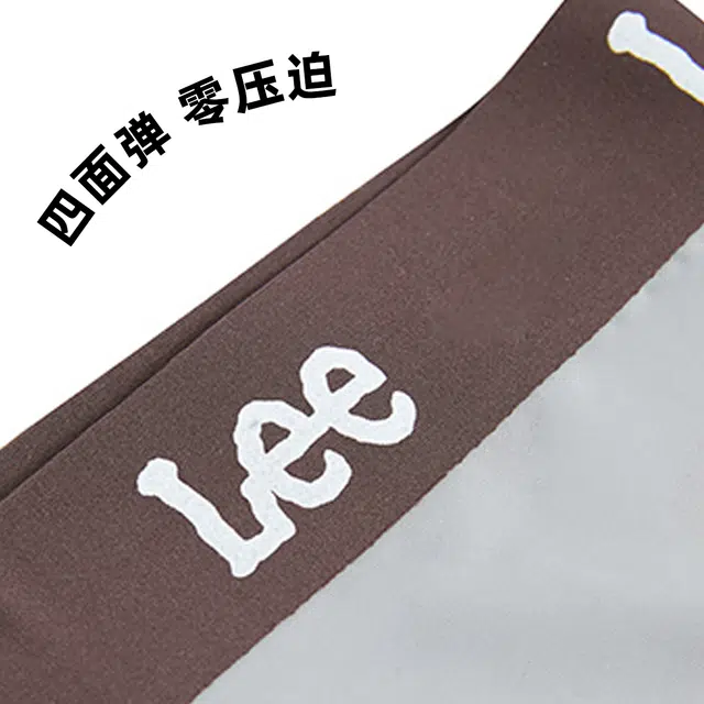 Lee 3