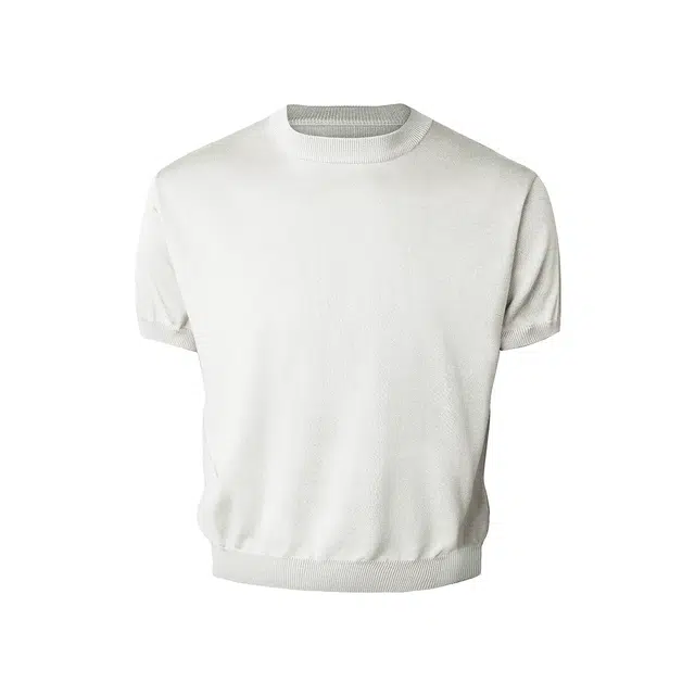 CDISHOU T