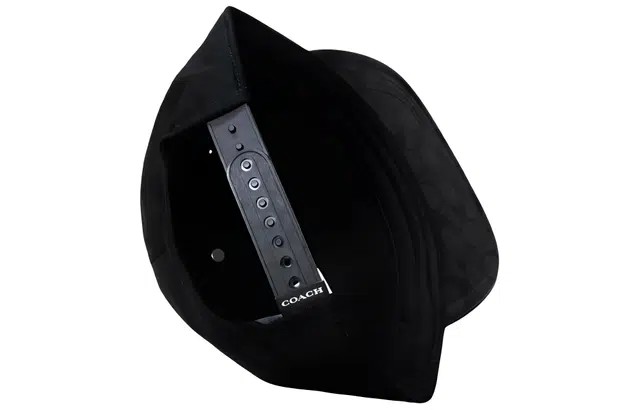 COACH Basquiat Dinosaur Cap