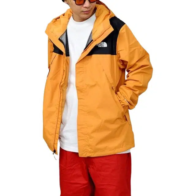 THE NORTH FACE Logo