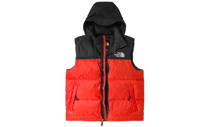 THE NORTH FACE 1996 Icon Nuptse