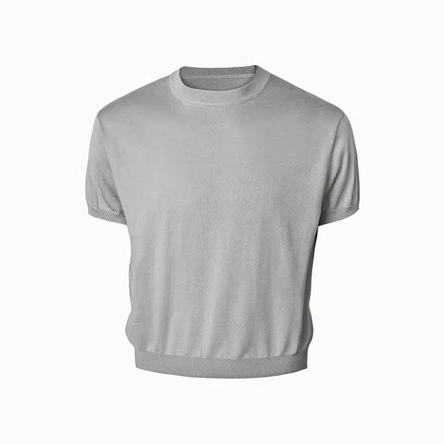 CDISHOU T