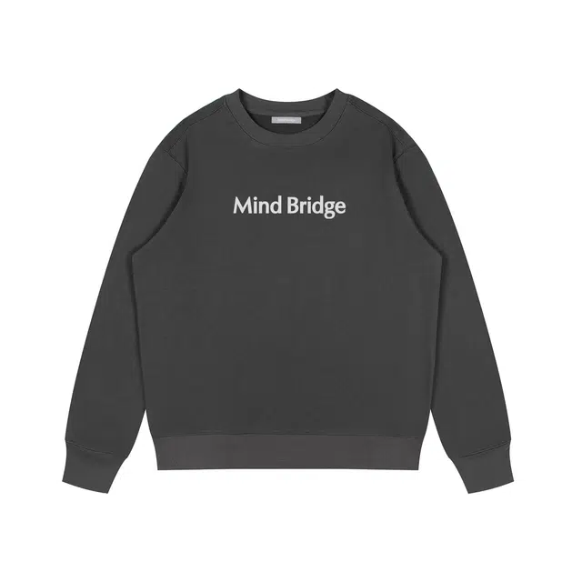 MindBridge