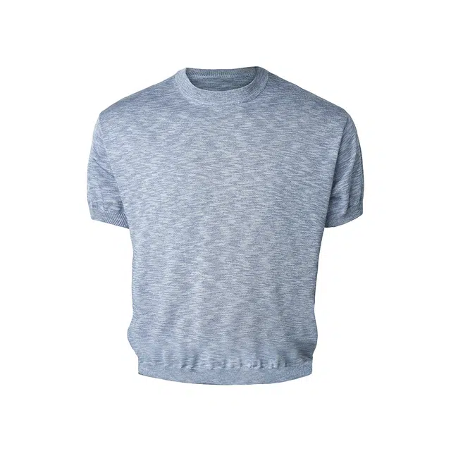 CDISHOU T