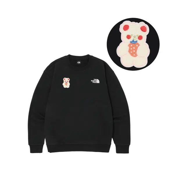 THE NORTH FACE