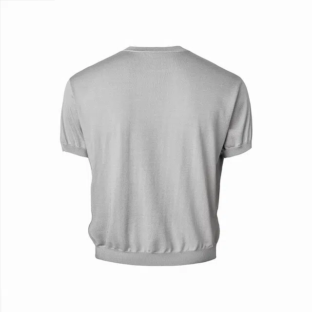 CDISHOU T