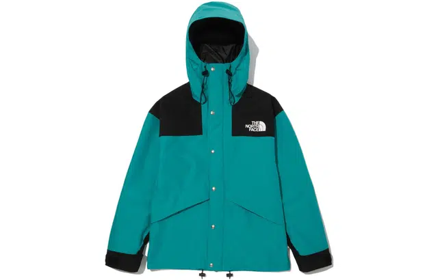 THE NORTH FACE Retro1986 Futurelight Mountain Logo