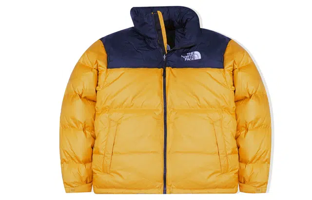 THE NORTH FACE 1996 Retro Nuptse 700