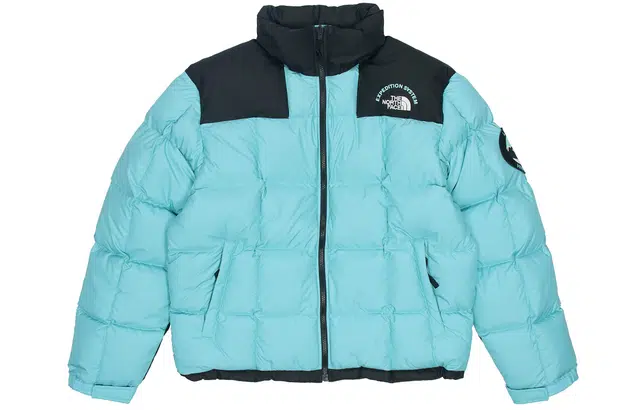 THE NORTH FACE logo