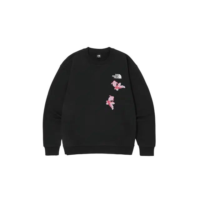 THE NORTH FACE