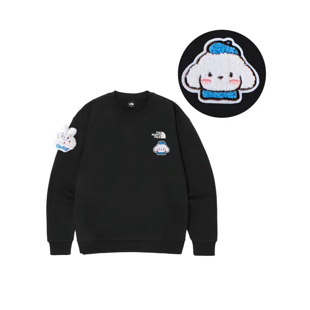 THE NORTH FACE
