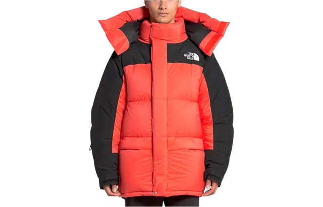 THE NORTH FACE SS22