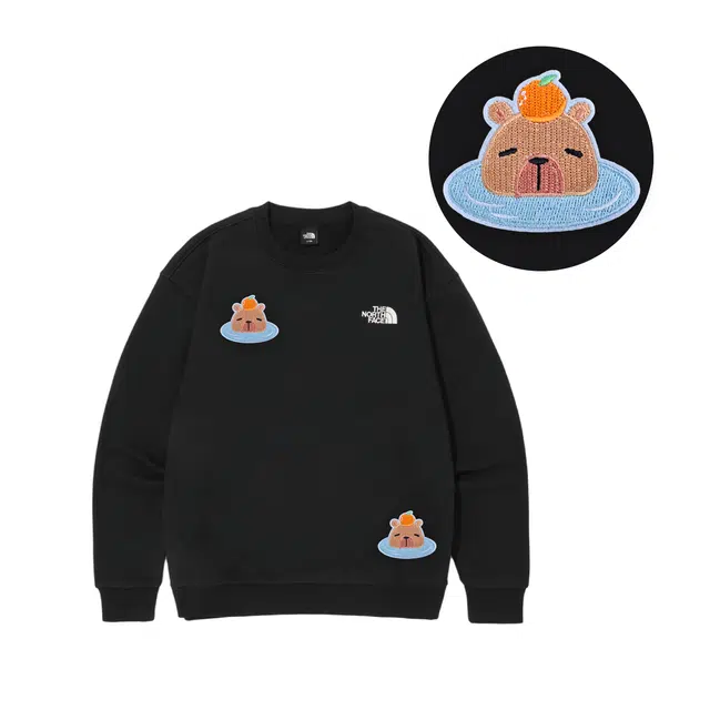 THE NORTH FACE
