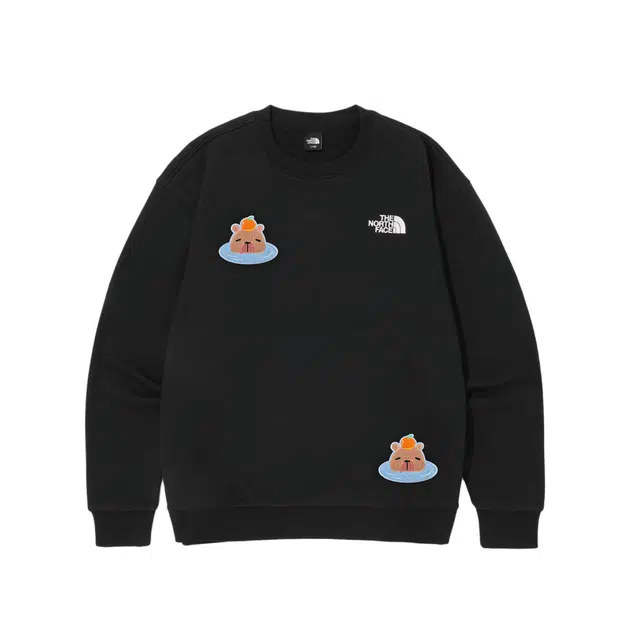 THE NORTH FACE
