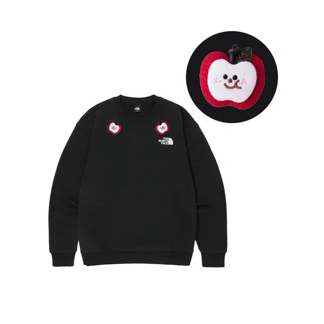 THE NORTH FACE