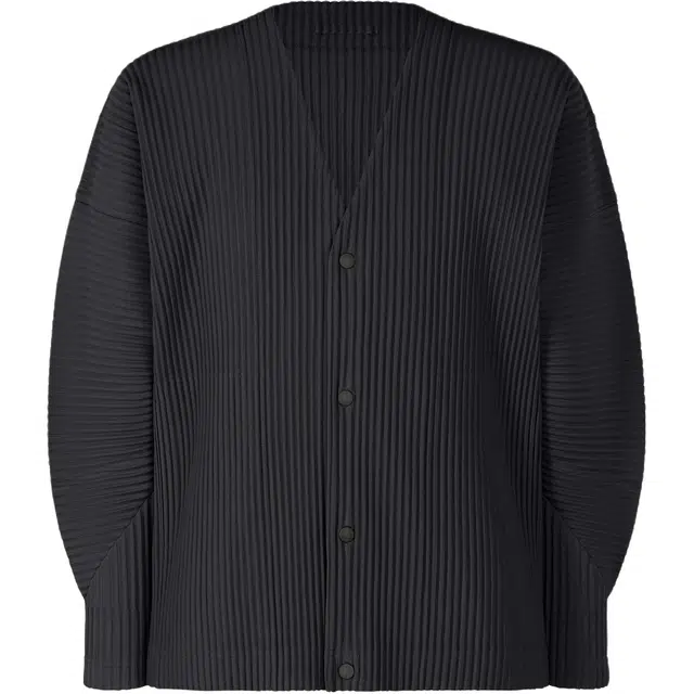 Homme Pliss Issey Miyake V