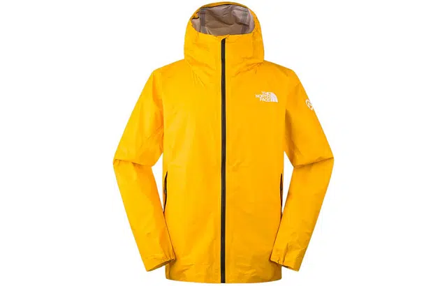 THE NORTH FACE Papsura Logo