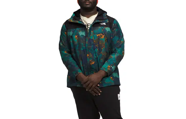THE NORTH FACE logo