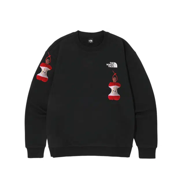 THE NORTH FACE