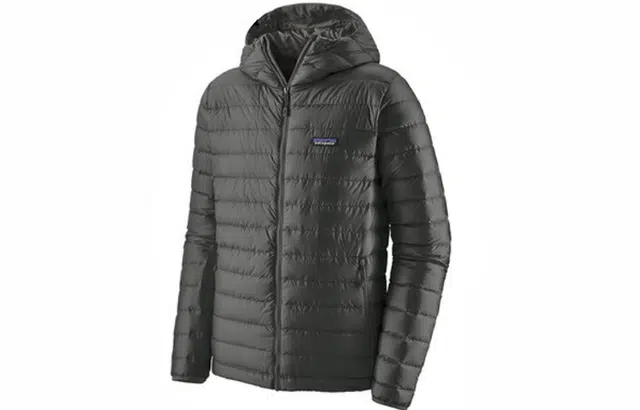 patagonia Down Sweater 800