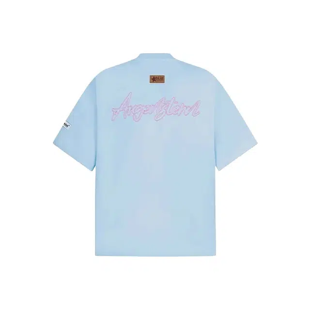 PAINT STAIN T