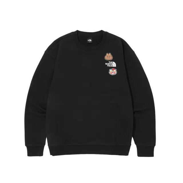 THE NORTH FACE