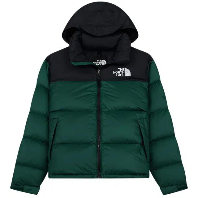 The North Face 700 Down Jacket