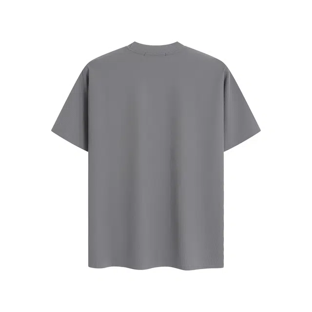CDISHOU T