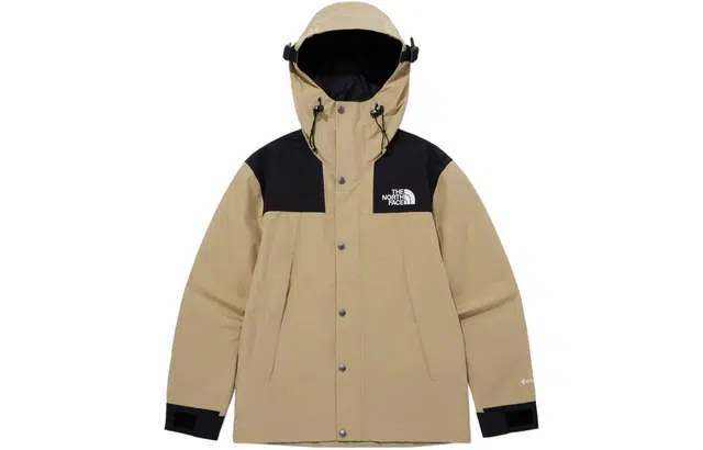 THE NORTH FACE 1990 Gore-tex Logo
