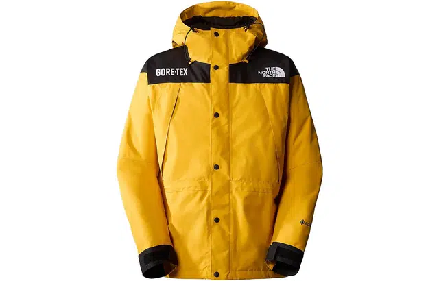 THE NORTH FACE GTX mountain jacket