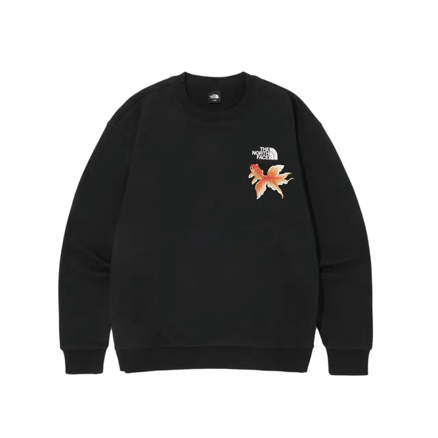 THE NORTH FACE