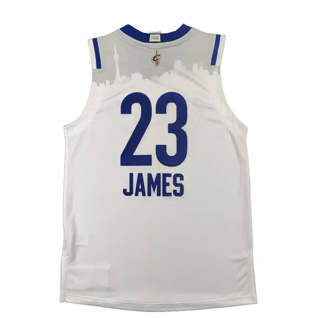 adidas x NBA SWINGMAN