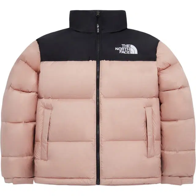 THE NORTH FACE 1996Nuptse ECO