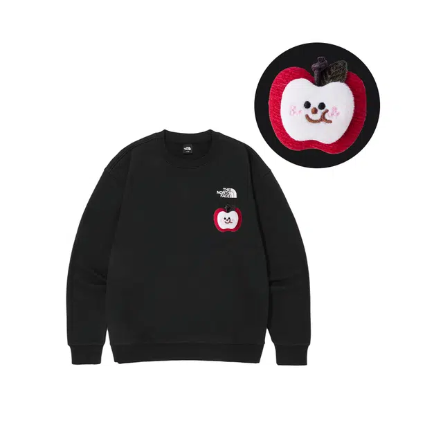 THE NORTH FACE