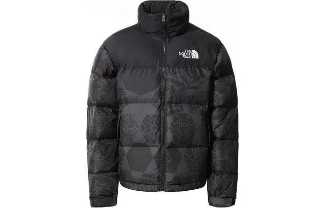THE NORTH FACE 1996 Retro Nupts 700