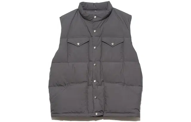 THE NORTH FACE PURPLE LABEL