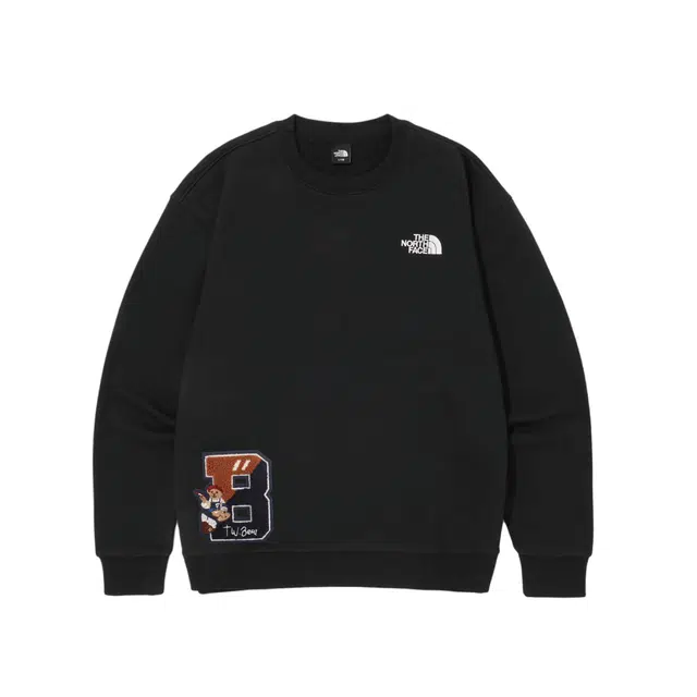 THE NORTH FACE