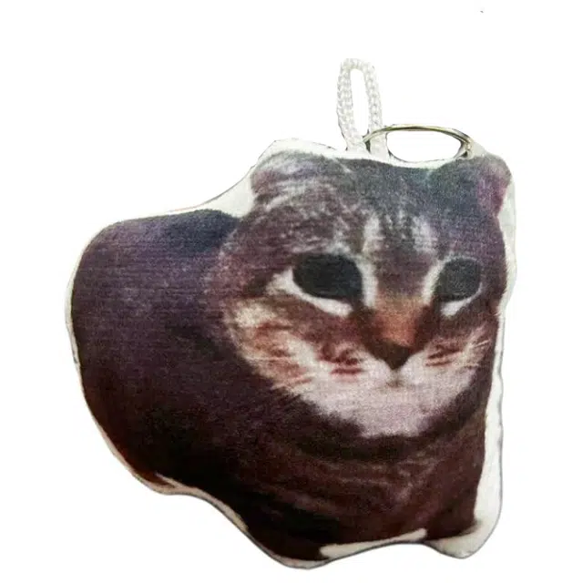 MANMIAO oiiaioooiai
