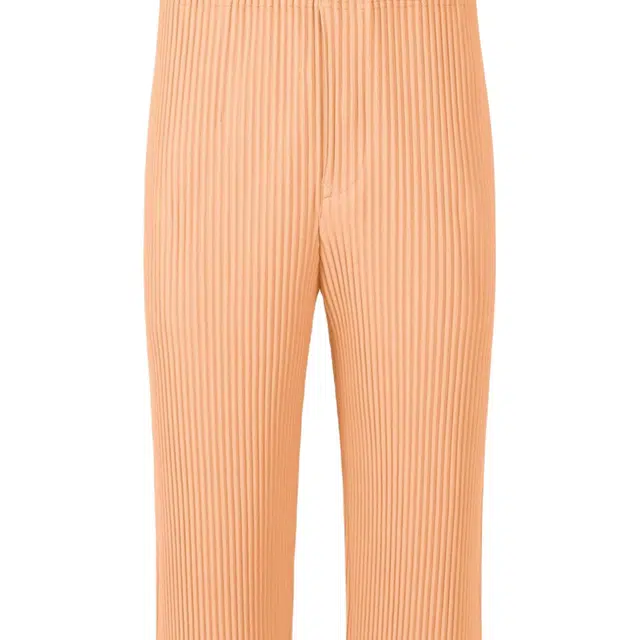 Homme Pliss Issey Miyake