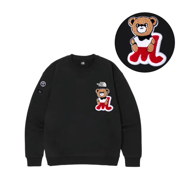 THE NORTH FACE M